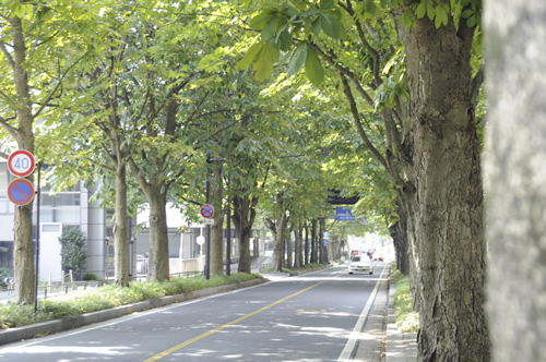 宇都宮市